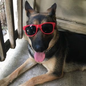 Meet your Posher, Isabel